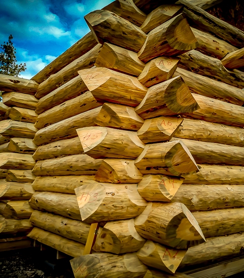 Saddle notched log corner