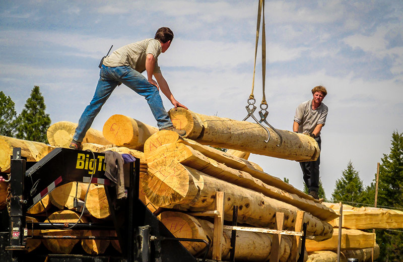 Log kit construction